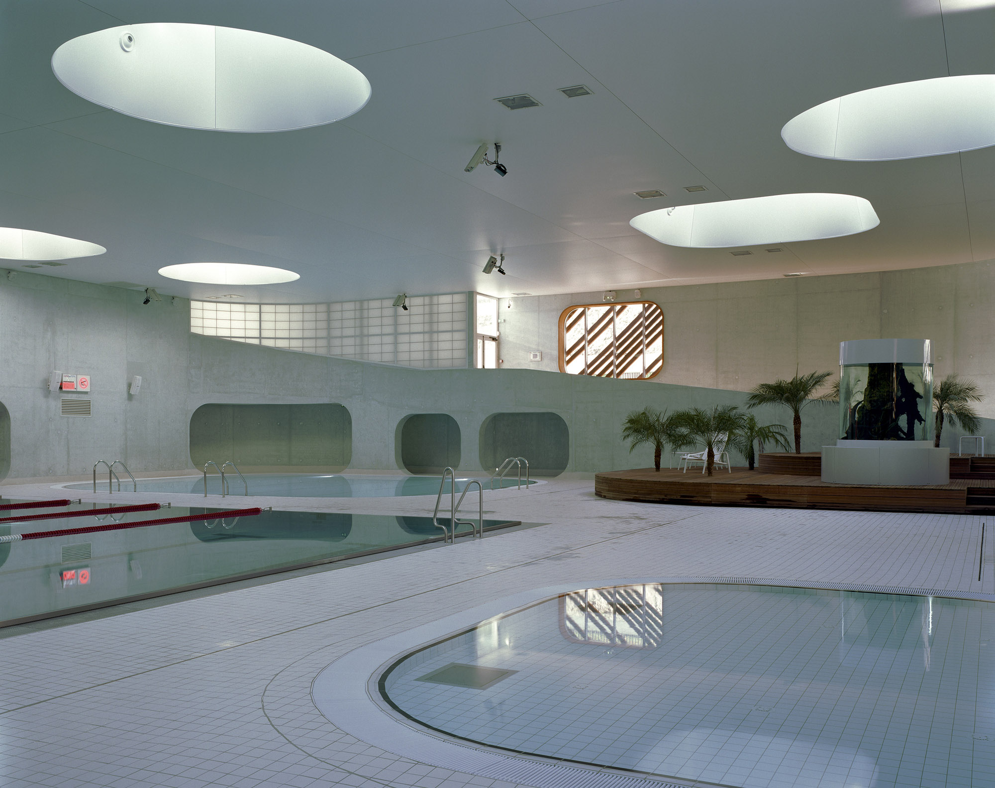 Mikou Piscine 8