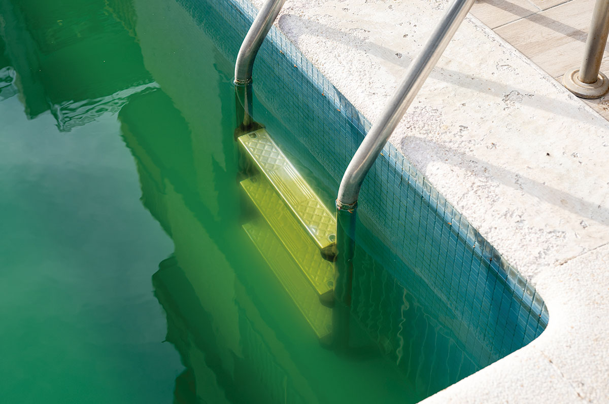 piscina agua verde