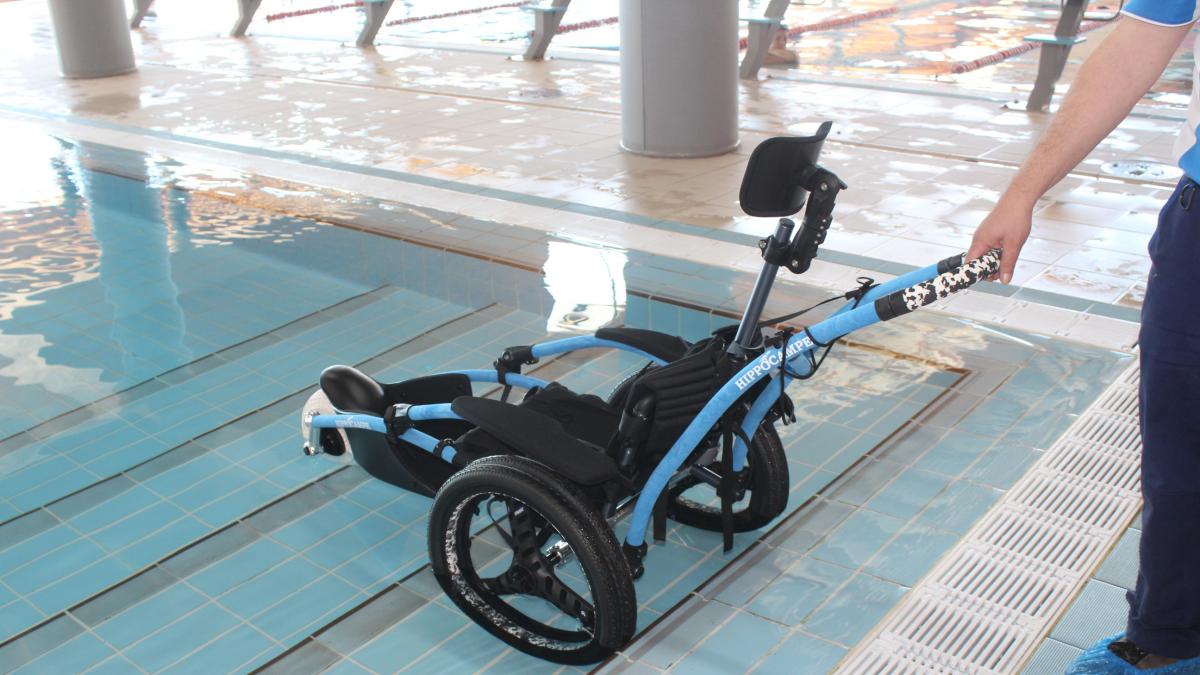  sillaanfibianoticia1 0e0fc053