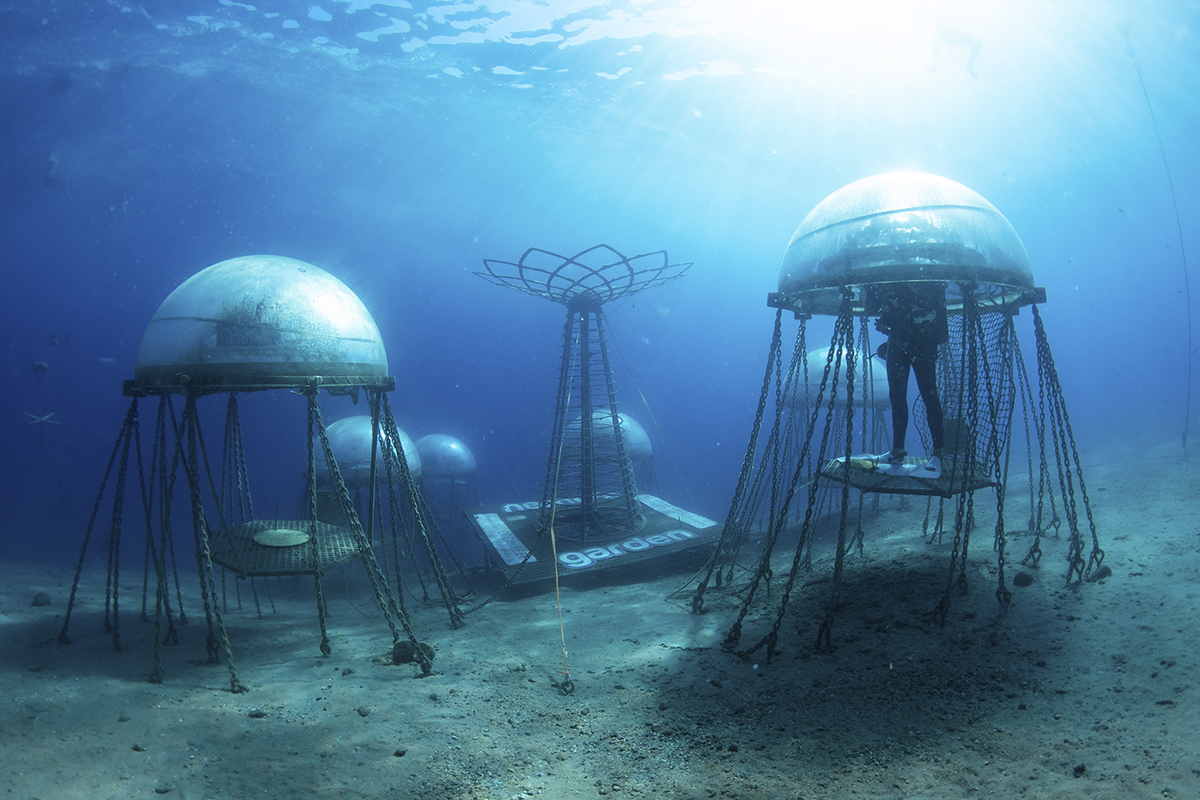 Nemos Garden by Ocean Reef WeVux 4