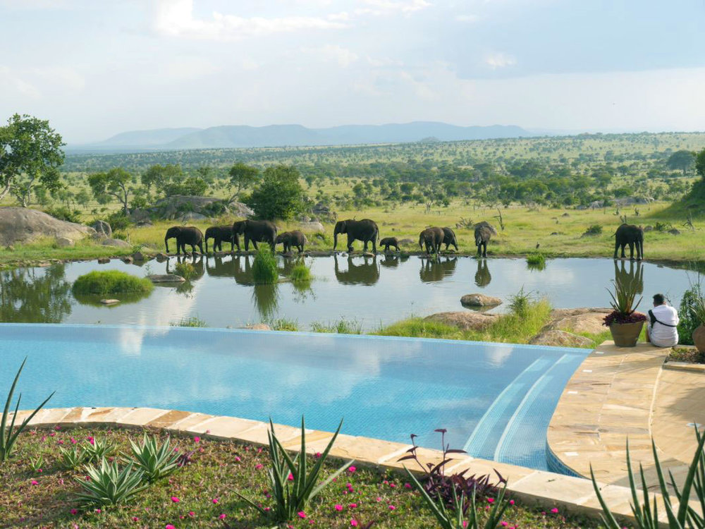 piscina Infinity Four Seasons Serengeti